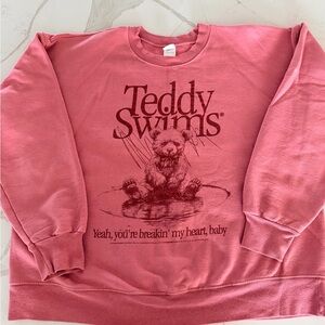 Hanes Ultimate Cotton Sweatshirt Teddy Swims